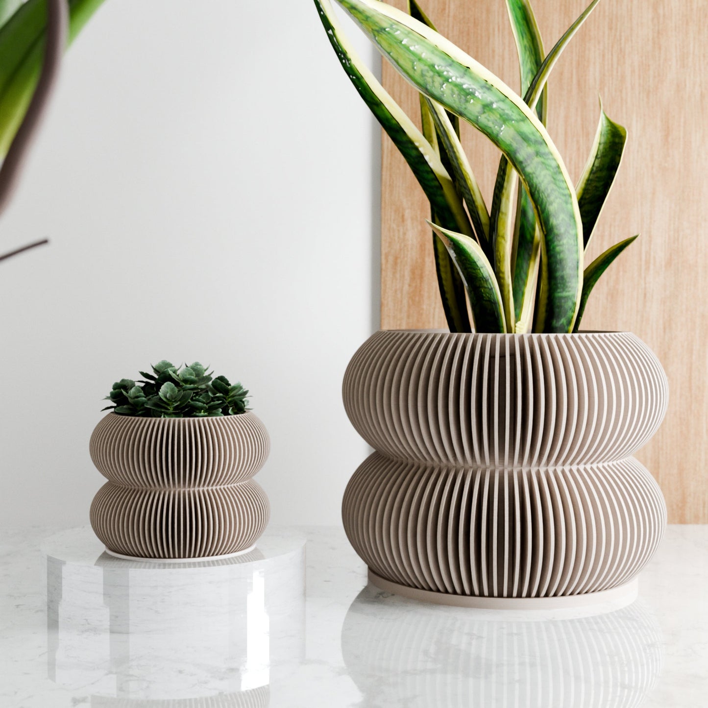 Double BUBBLES Planter