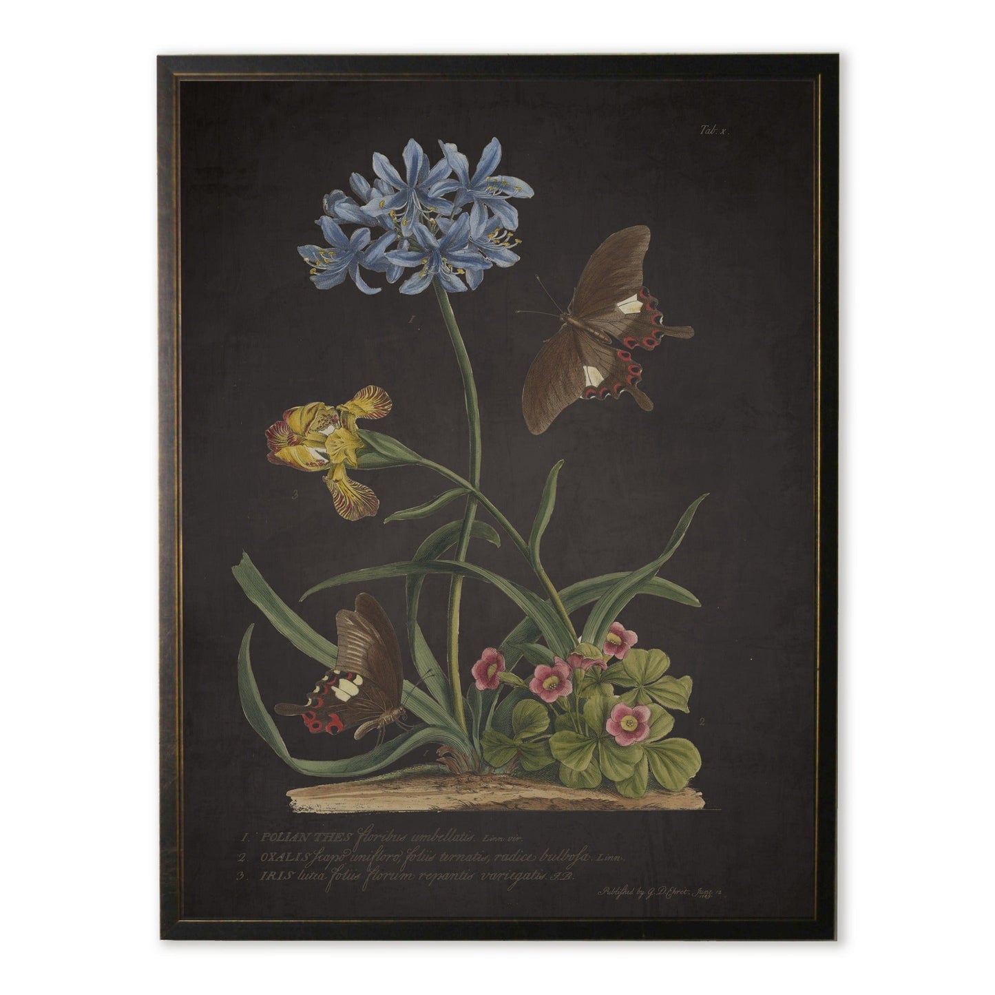 Blue Flower with Black Butterflies Print in Copper and Black Frame