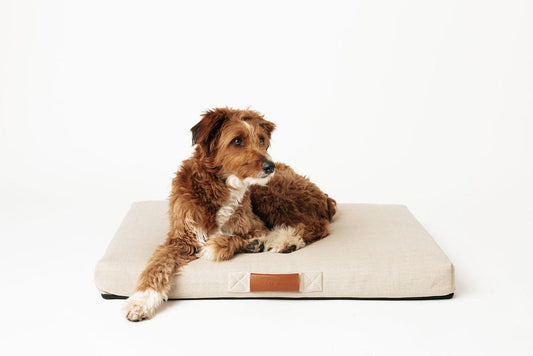 Ecru | Modern Dog Bed or Bed Cover