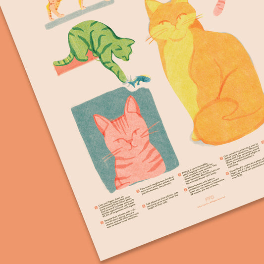 Cat Fun Facts Print