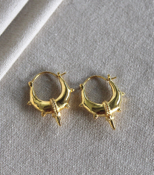 Rajasthan Gypsy Earrings