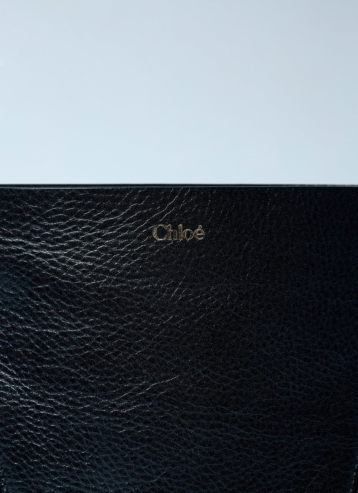 Chloé Women Spin Tote Bag