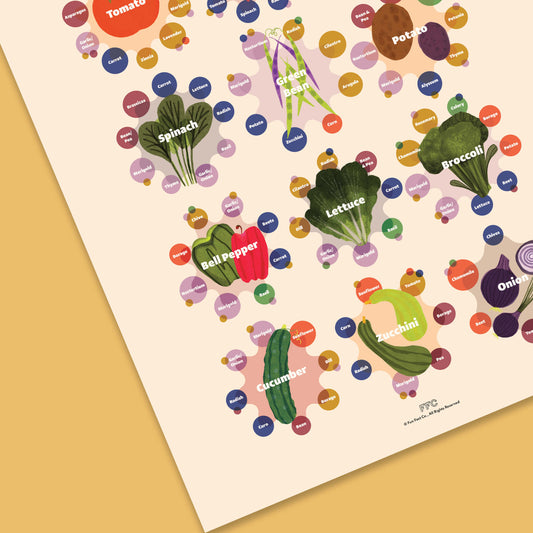 Companion Plants Print