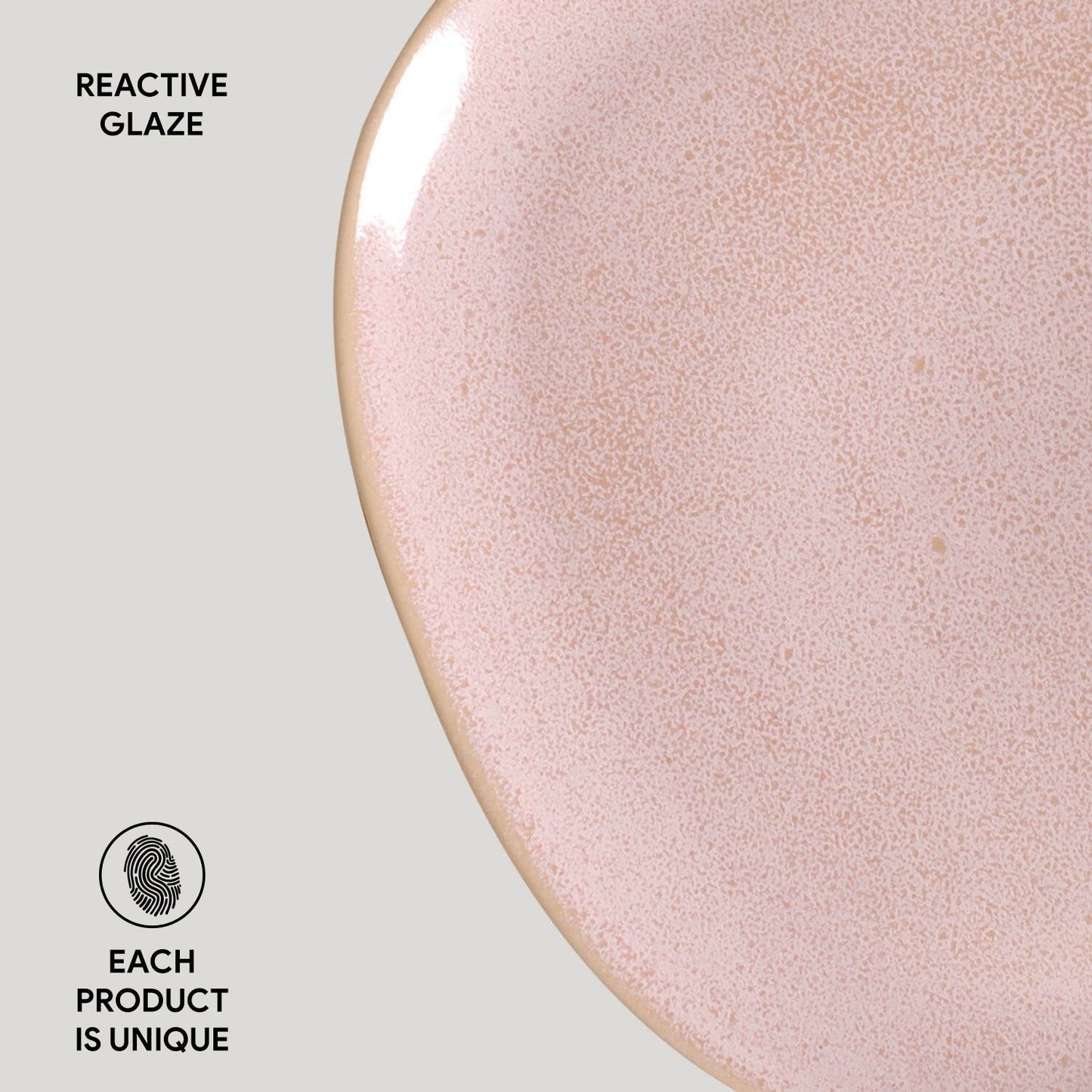 Oval Dinner Plate Set of 6