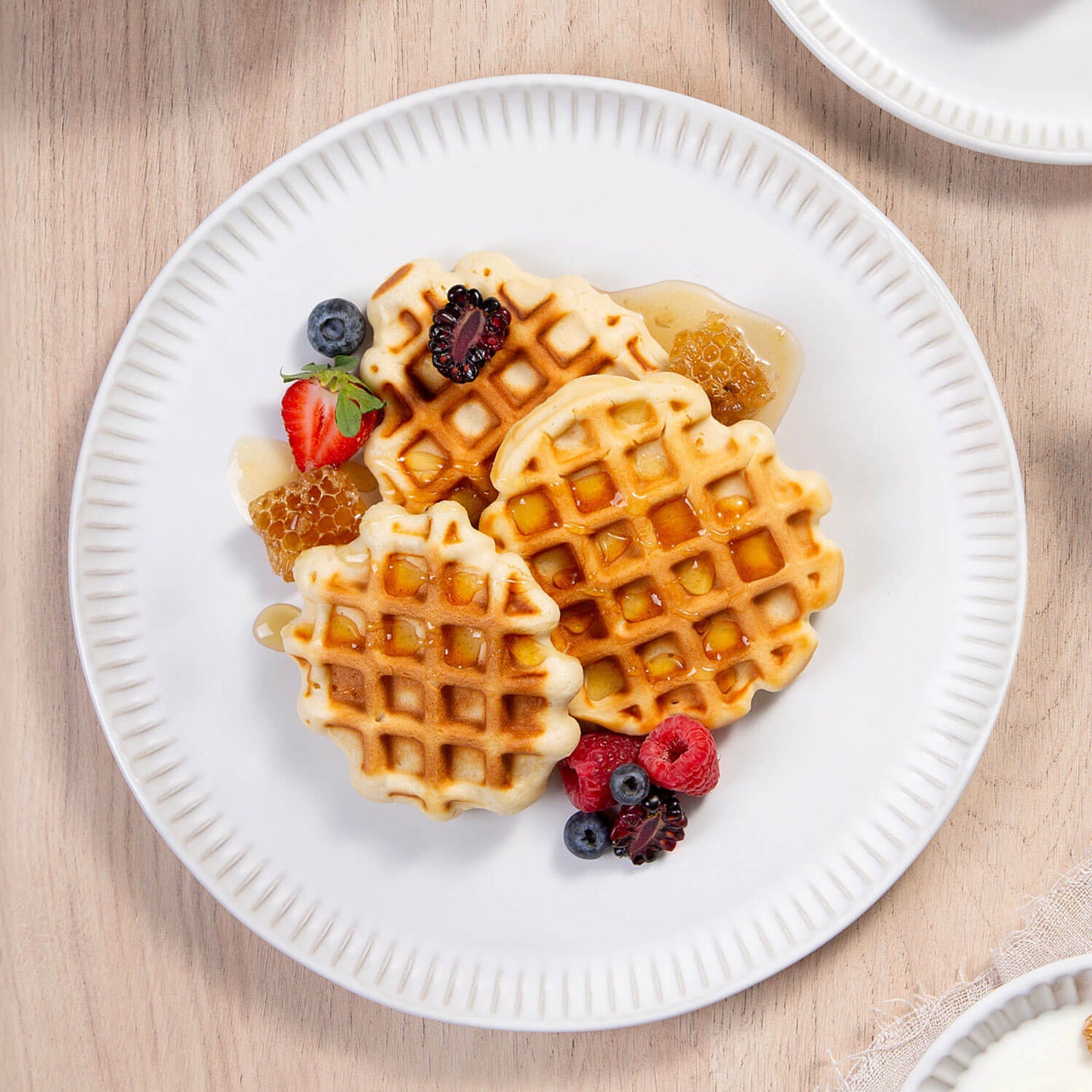 Dinner Plate Set of 6