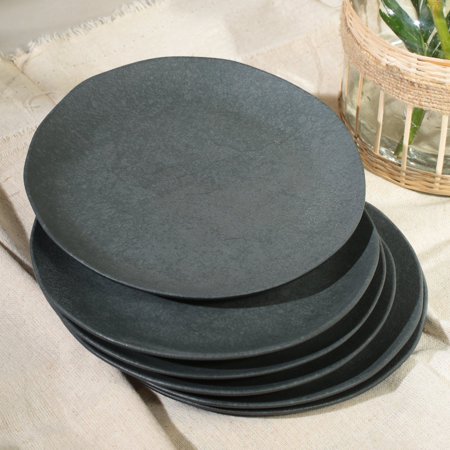 Dinner Plate Set of 6