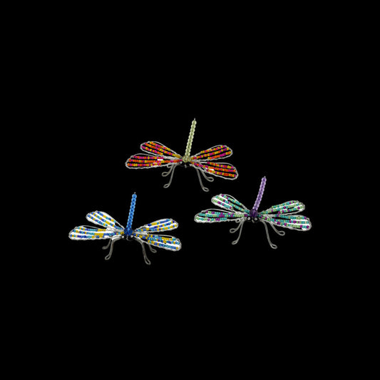 Dragonfly, Sm Asst (Set of 6)