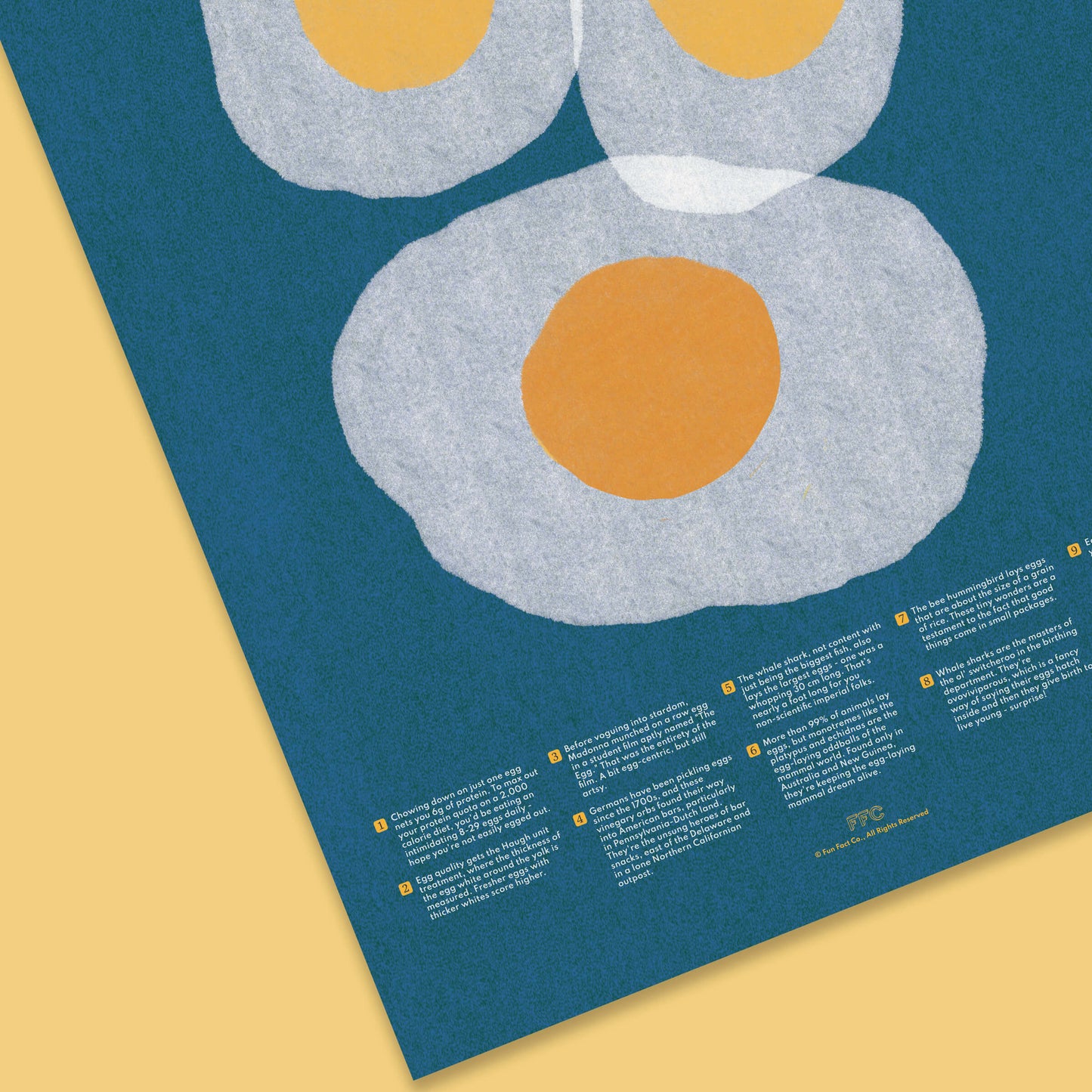 Egg Fun Facts Print