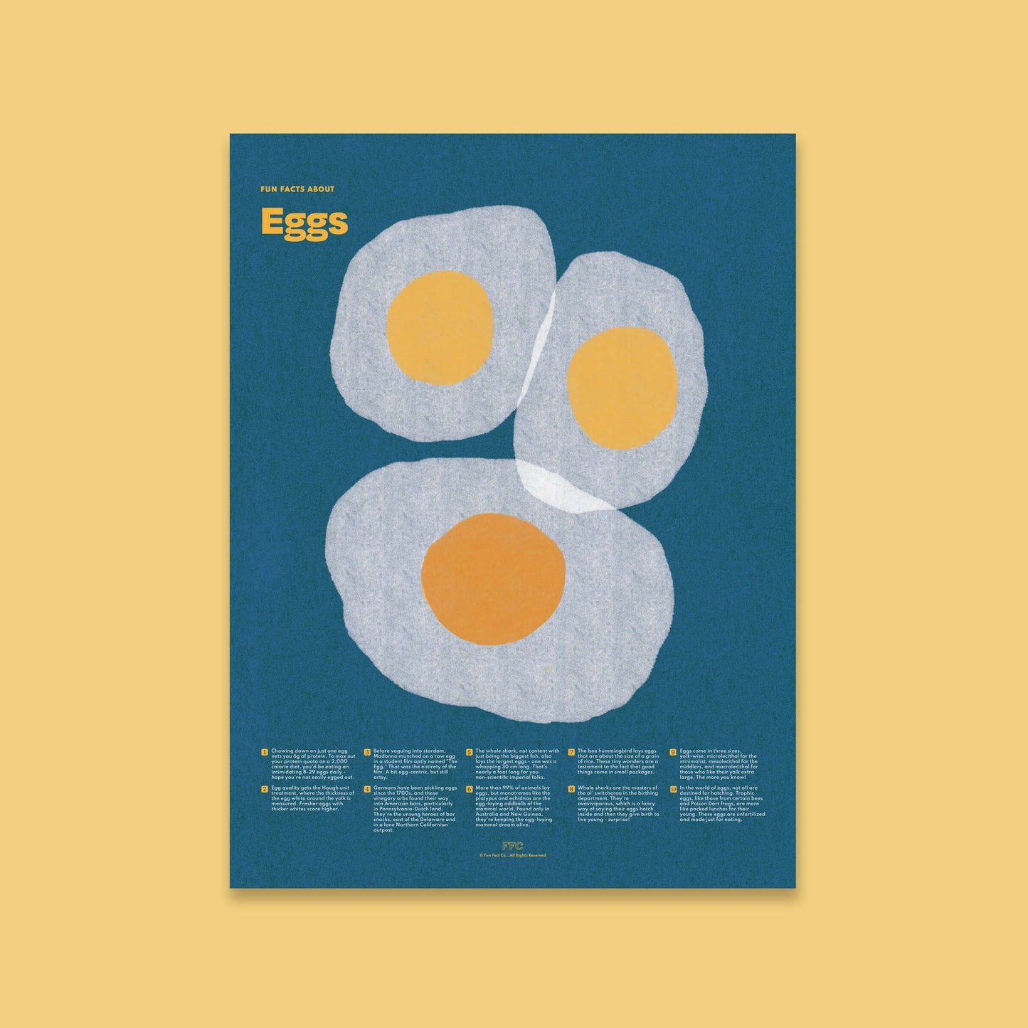 Egg Fun Facts Print