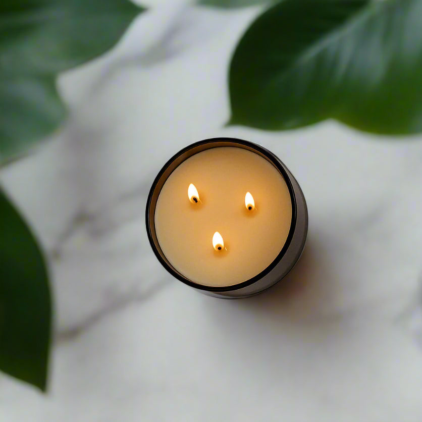 Eucalyptus + Lavender - Signature 3-Wick Candle