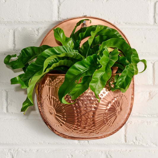 Dekhava Embossed Wall Planter