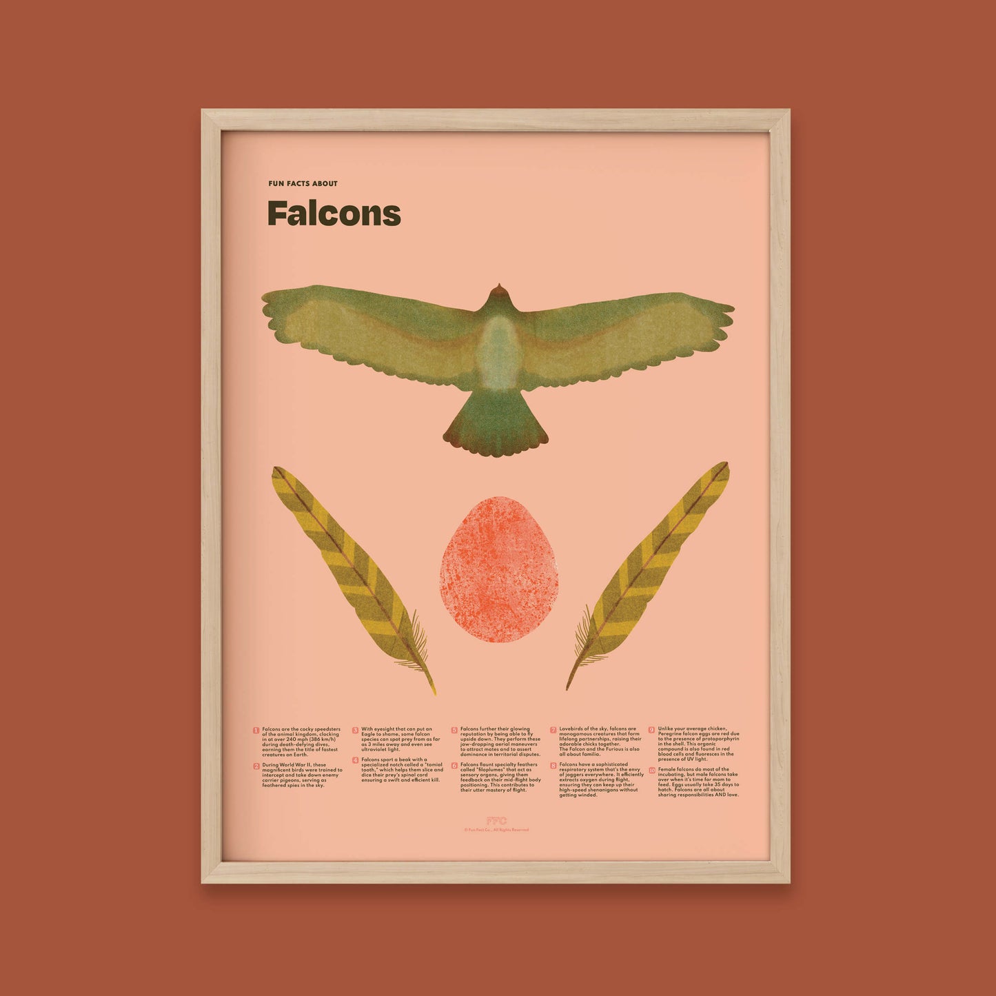 Falcon Fun Facts Print