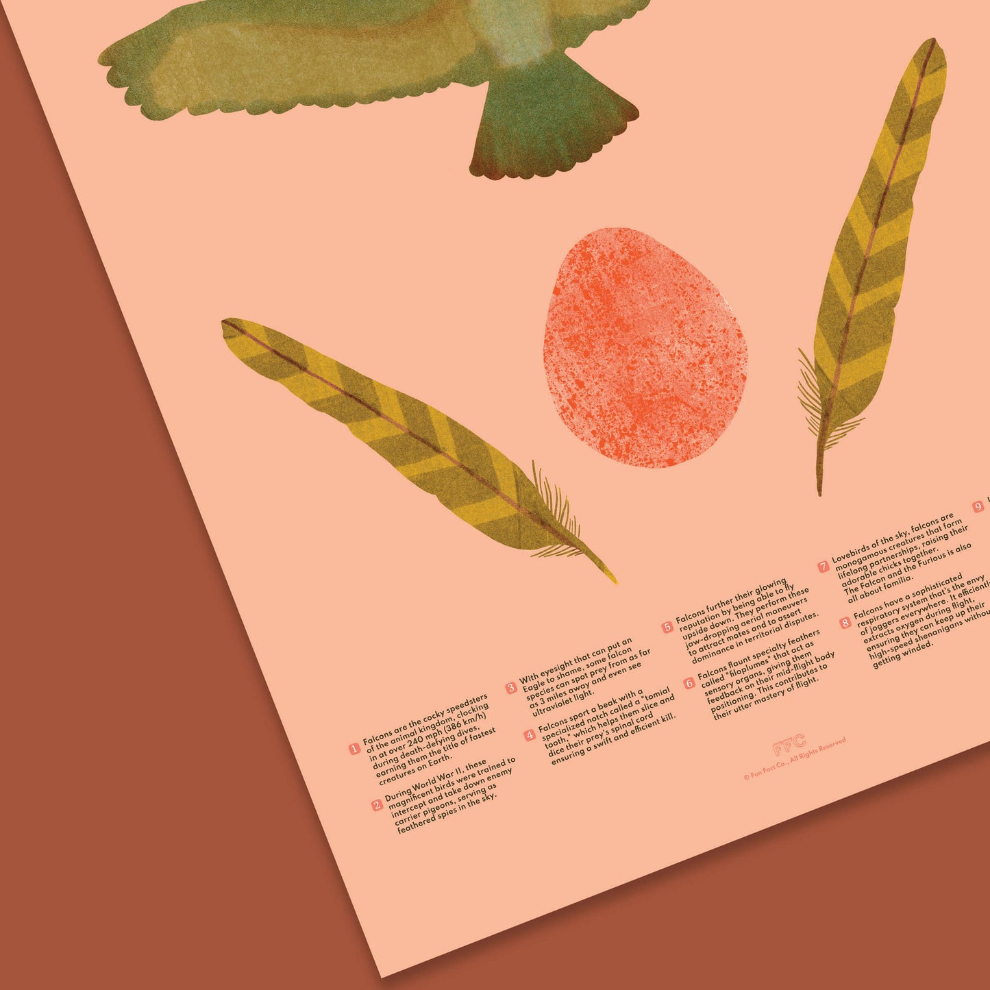 Falcon Fun Facts Print