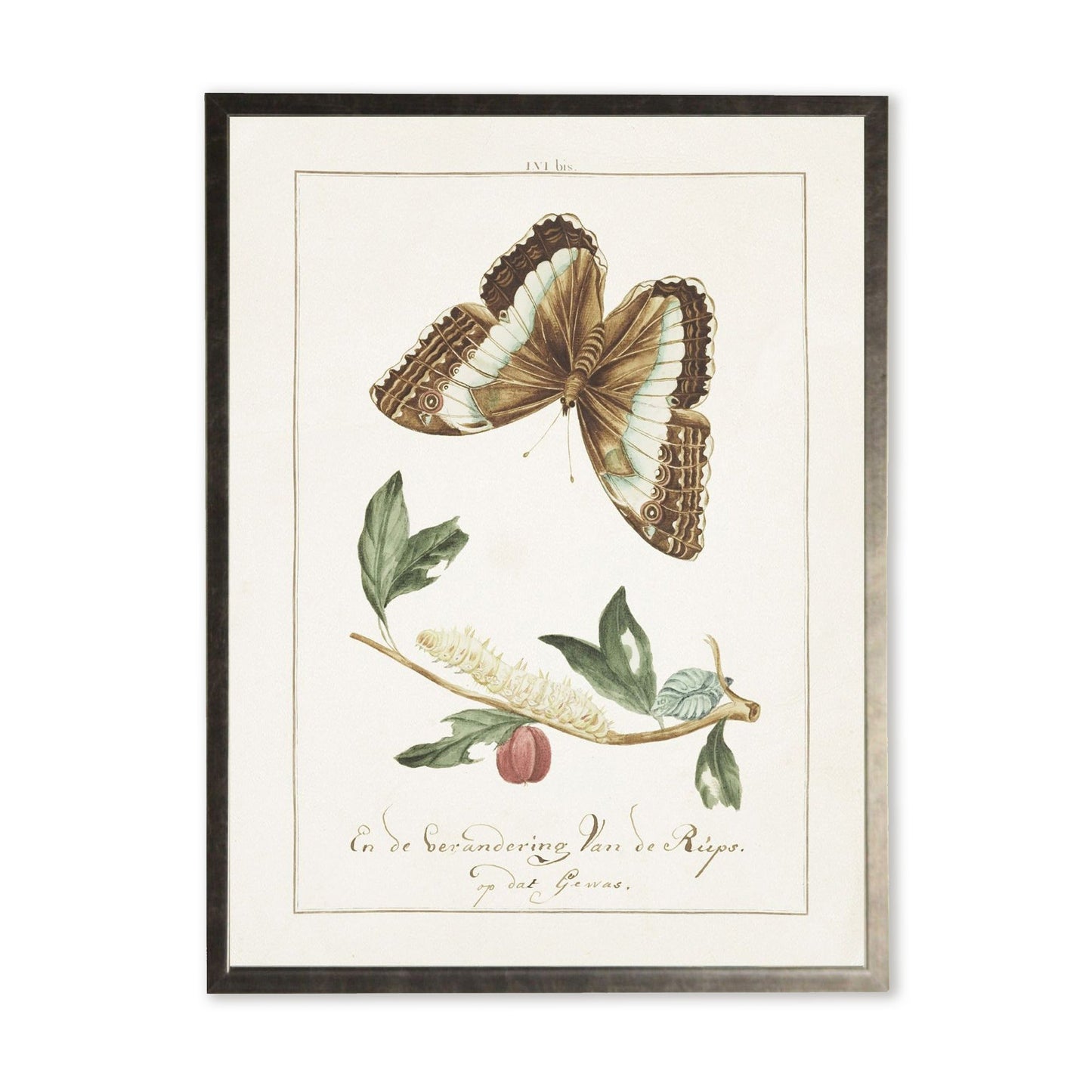 Butterfly and Caterpillar in Silver Frame