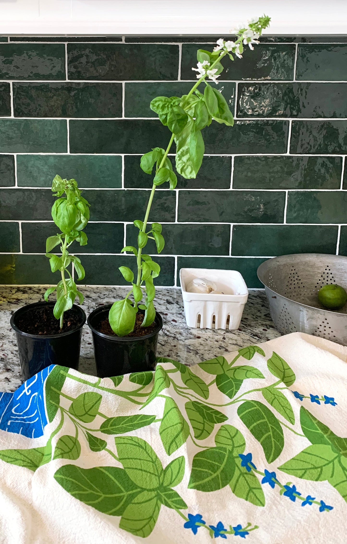 Basil Dish Towel