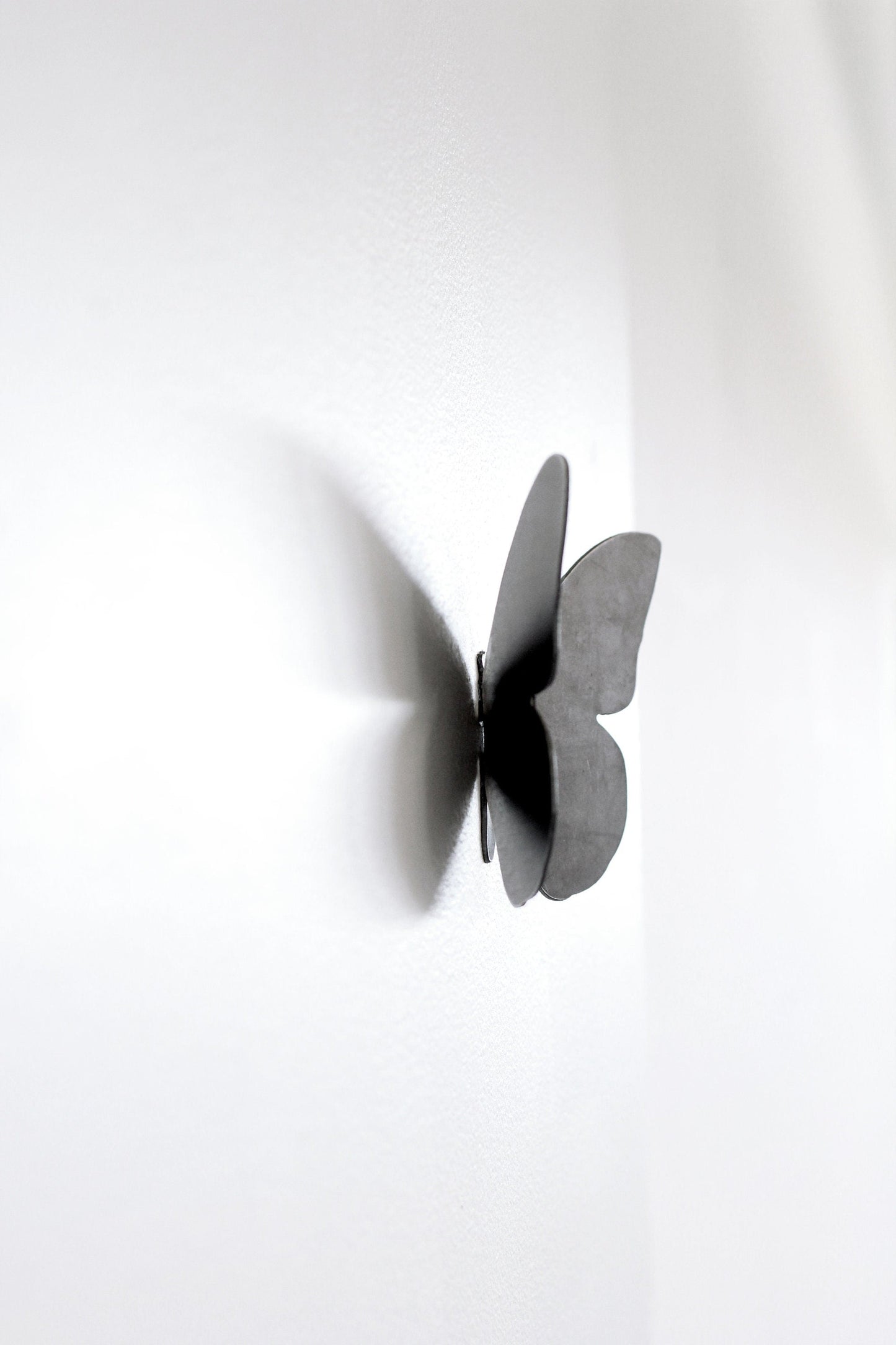 Butterfly Wall Hook
