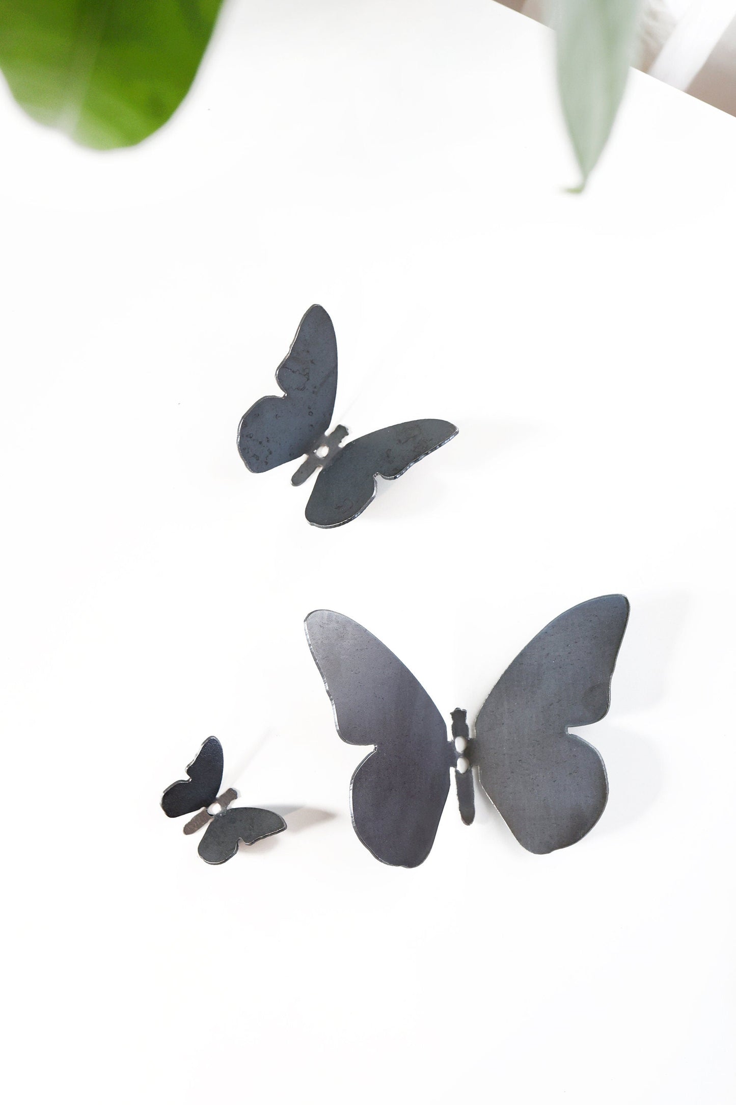 Butterfly Wall Hook