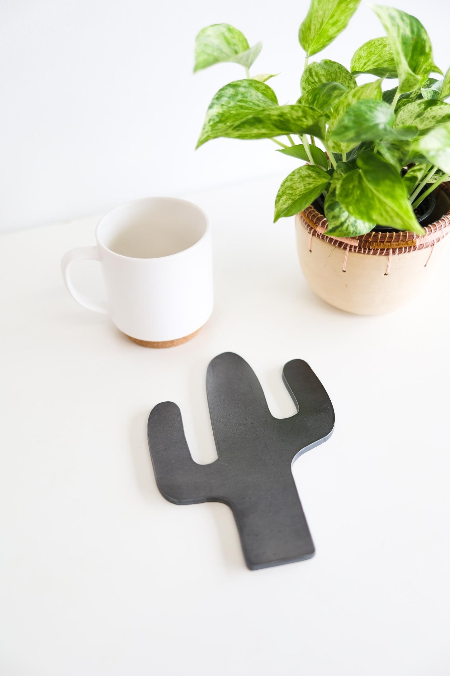 Cactus Trivet Hot Plate Pot Holder