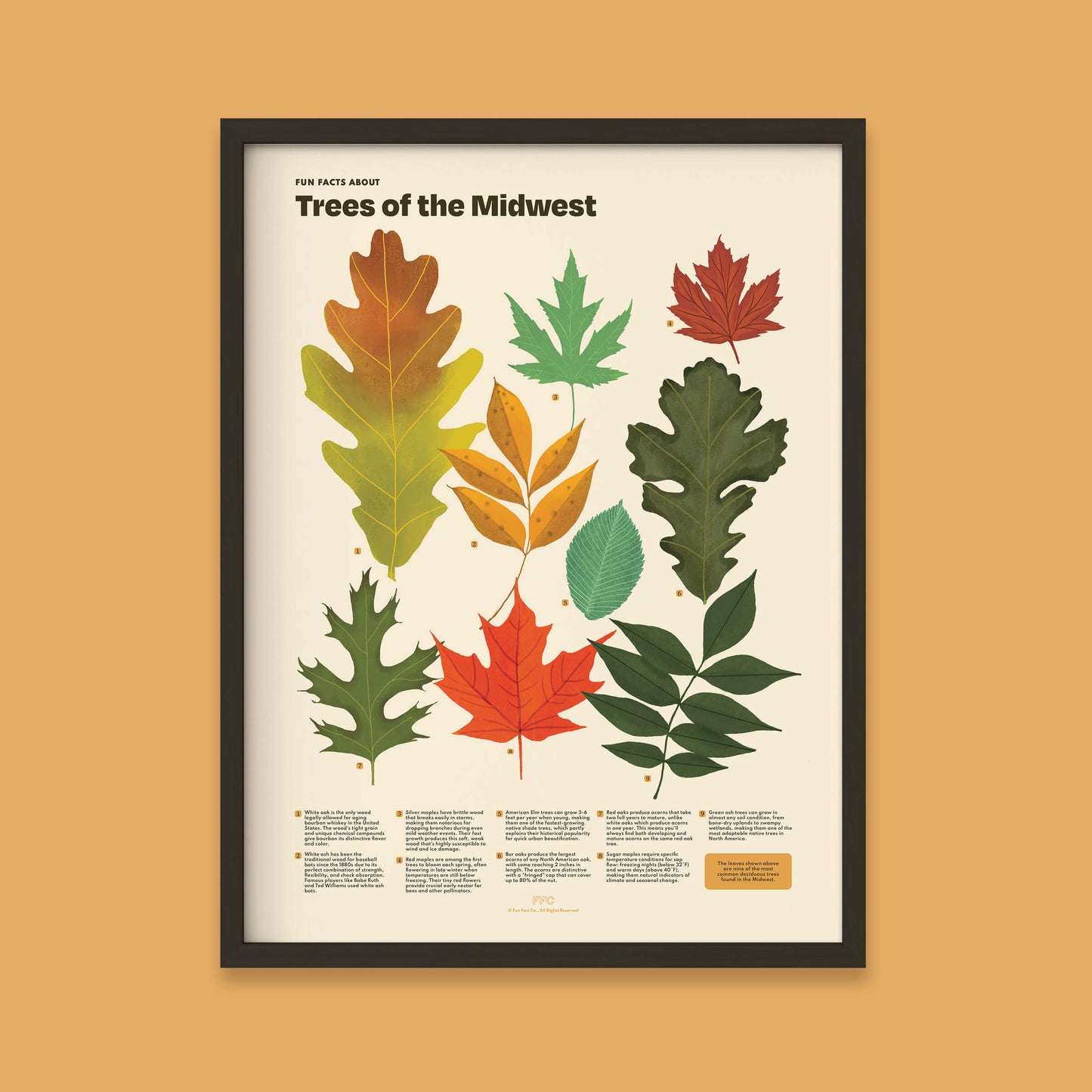 Trees of the Midwest Print
