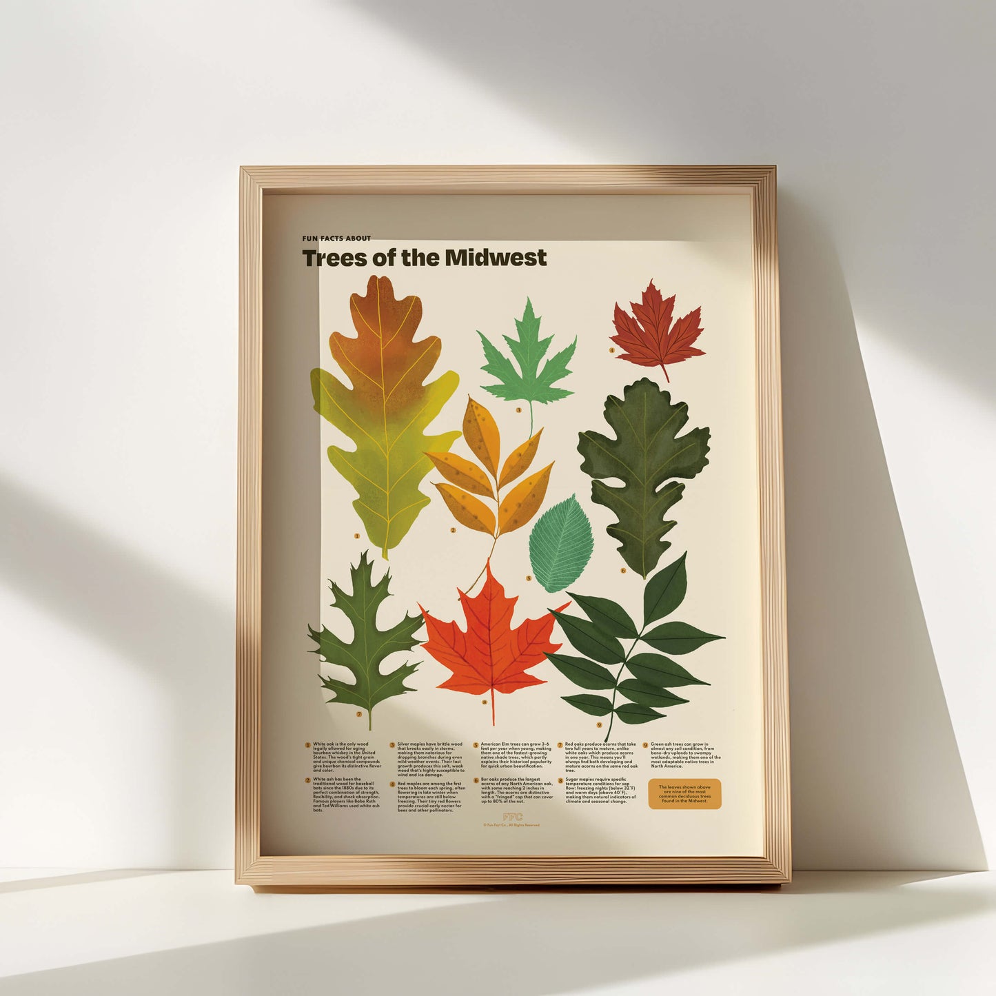 Trees of the Midwest Print
