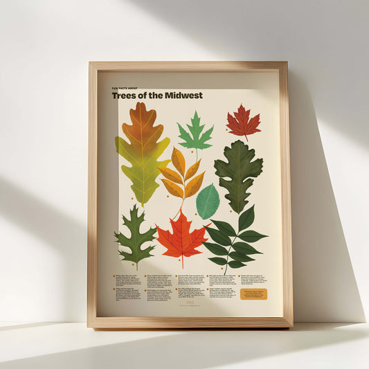 Trees of the Midwest Print