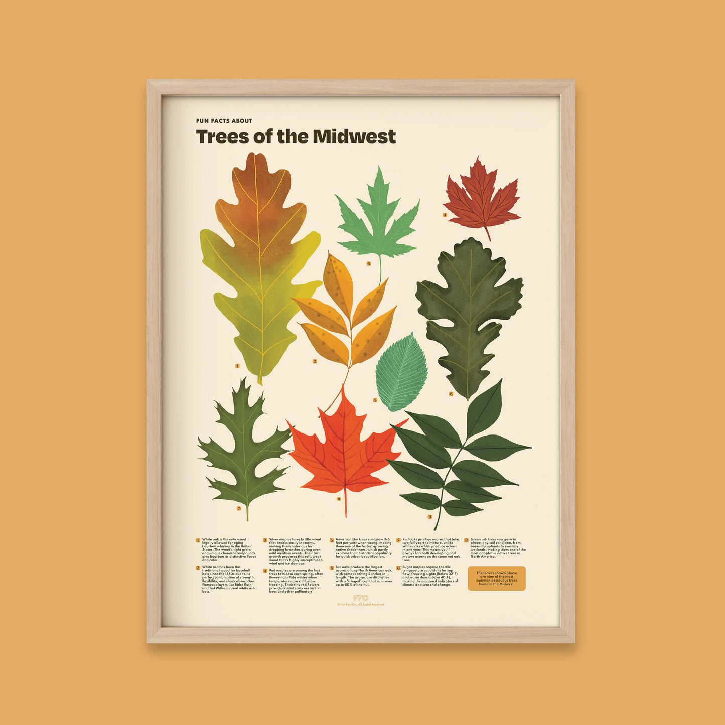 Trees of the Midwest Print