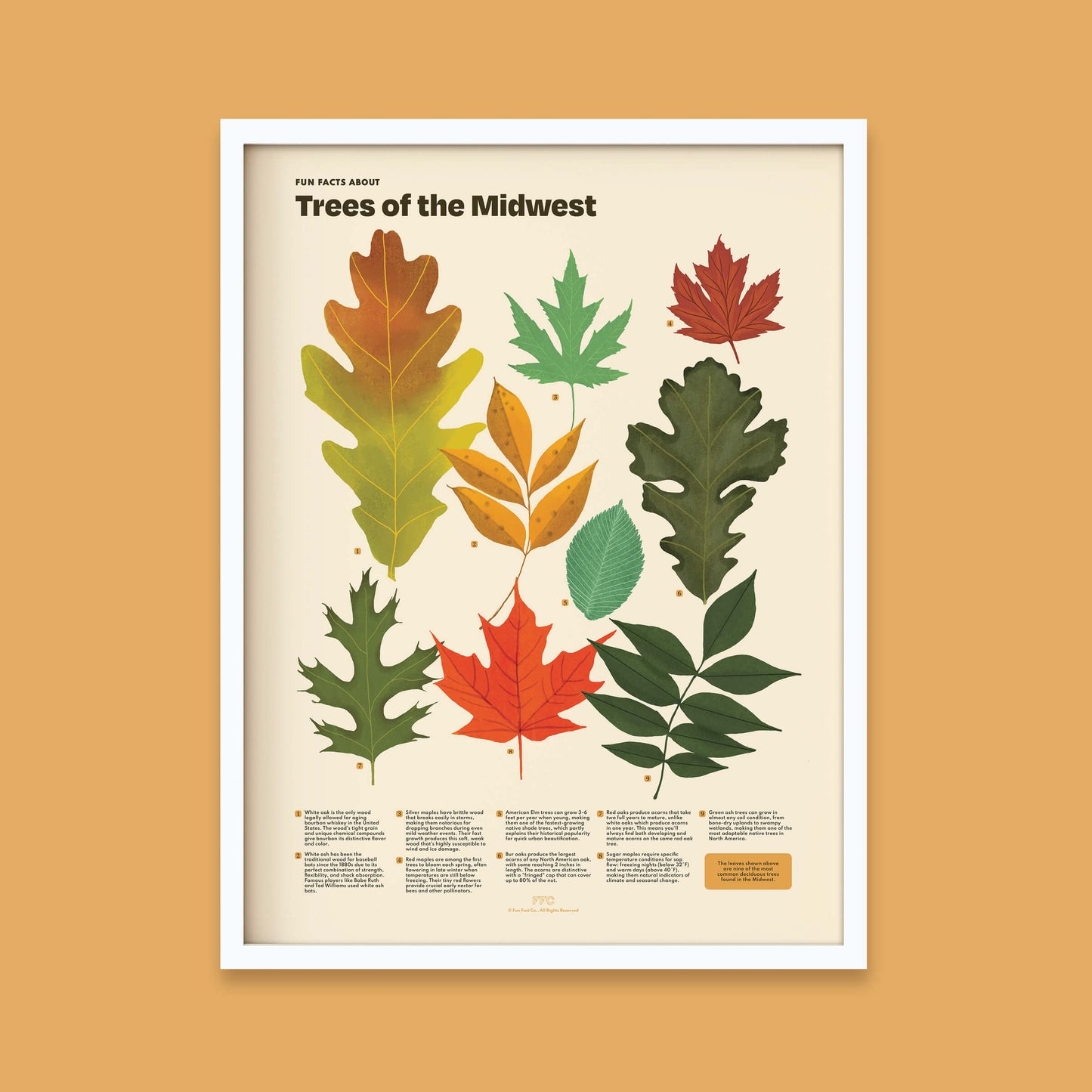 Trees of the Midwest Print